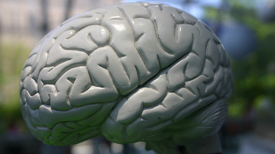 Zredukować skutki incydentu naczyniowo-mózgowego dla mózgu