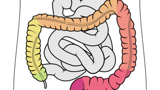 Nowy lek na raka jelita grubego okazał się nieskuteczny