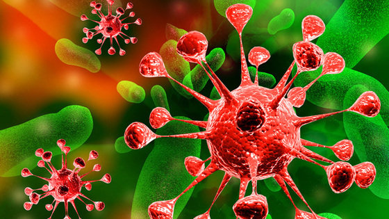 Zmutowany wirus ptasiej grypy: strach przed bioterrorystami